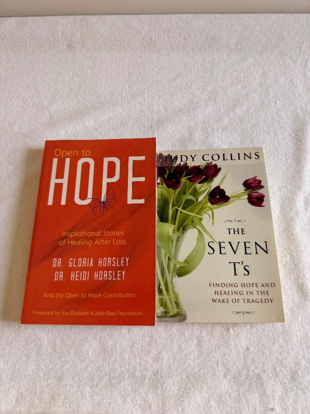 Lot 2 Books-SEVEN T'S: FINDING HOPE AND HEALING IN THE WAKE ... & OPEN TO HOPE
